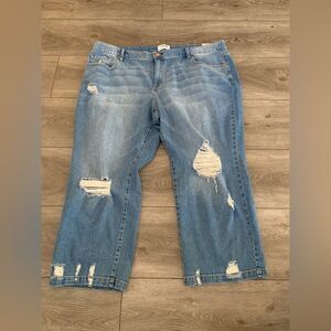 Lane Bryant woman’s signature fit classic straight petite  high rise